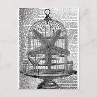Strandwörterbuch Steampunk Birdcage Starfish Postkarte