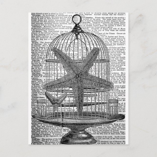Strandwörterbuch Steampunk Birdcage Starfish Postkarte (Vorderseite)