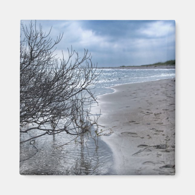 Strandzweig Magnet (Vorne)