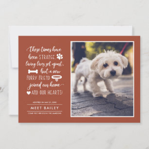 Strange Times New Pet Photo Faire-part Orange