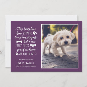 Strange Times New Pet Photo Faire-part Plum