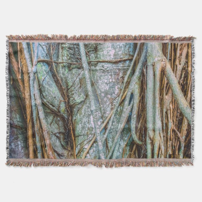 Strangler Fig Abstrakt Decke (Vorderseite)
