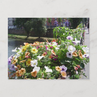 Straßburg nach Tag, Blume Postkarte