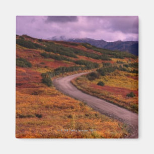 Straße, die durch Hügel schlängelt, in Denali Magnet