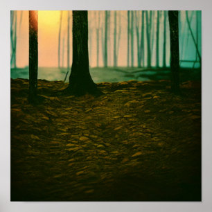Straße durch das Waldposter Poster