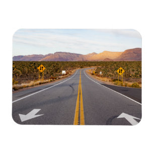 Straße durch den Joshua-Tree-Nationalpark Magnet
