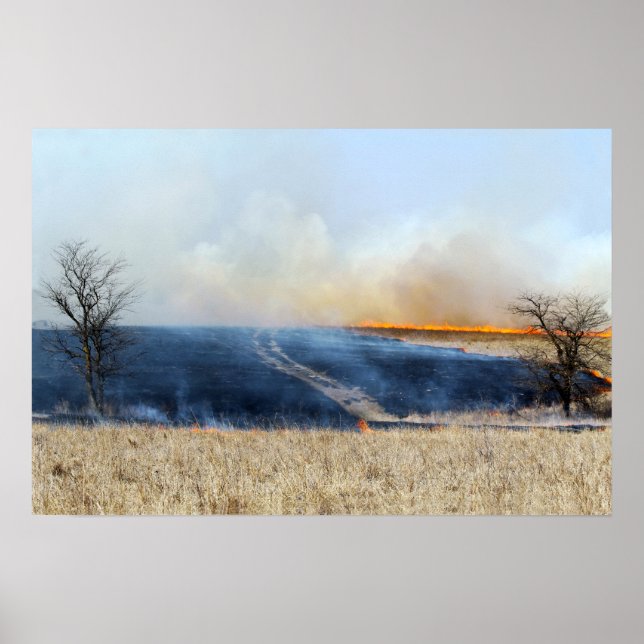 Straße durch die Prairie Burn 24 x 16 Poster (Vorne)