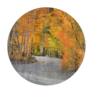 Straße durch Herbstaspens Schneidebrett
