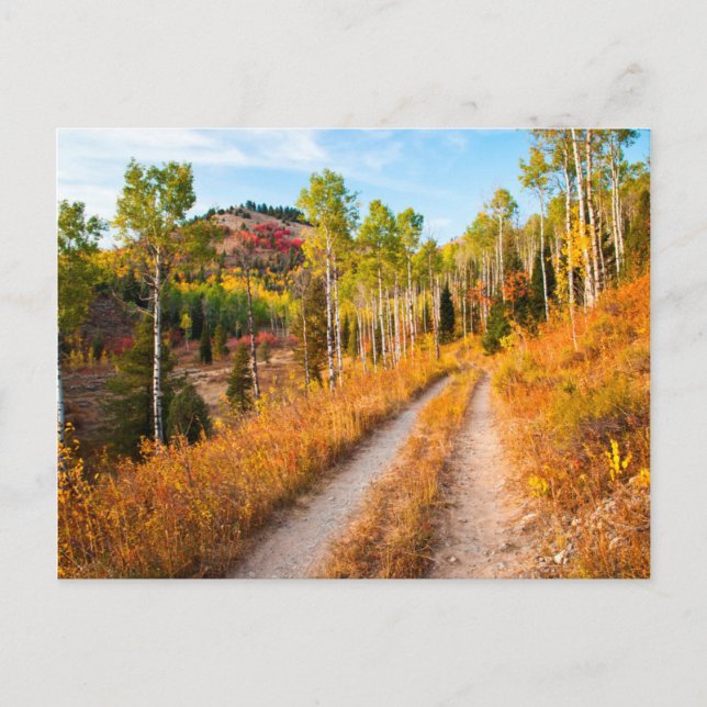 Straße durch Herbstfarben Postkarte (Vorderseite)