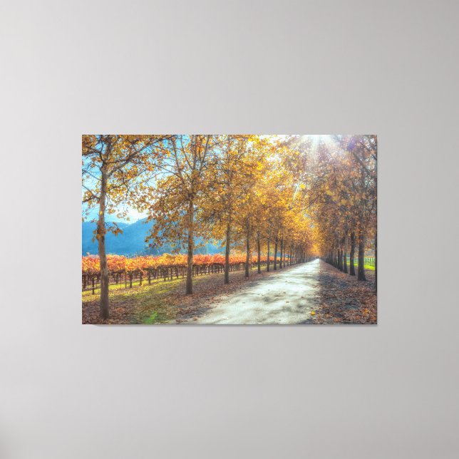 Straße im Weingarten Herbst Leinwanddruck (Vorderseite)