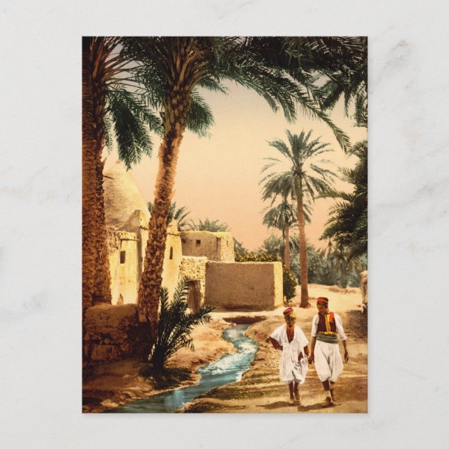 Straße in der Altstadt, Biskra, Algerien Postkarte (Vorderseite)