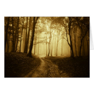 Straße in einem dunklen Wald mit Nebel