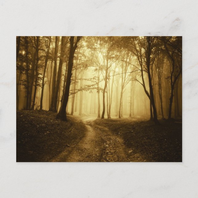 Straße in einem dunklen Wald mit Nebel Postkarte (Vorderseite)