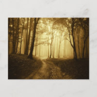 Straße in einem dunklen Wald mit Nebel
