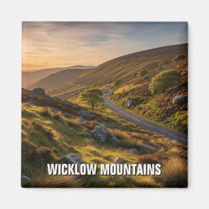 Straße in Wicklow Mountains National Park Irland Magnet