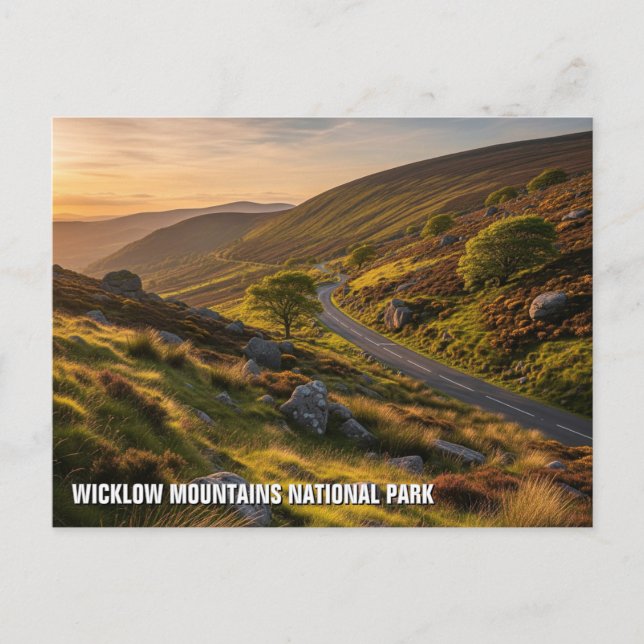 Straße in Wicklow Mountains National Park Irland Postkarte (Vorderseite)