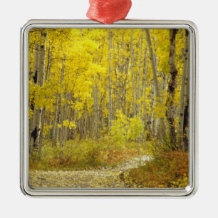 Straße mit Herbstfarben und -aspeln in Kebler 2 Ornament Aus Metall
