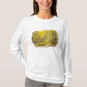 Straße mit Herbstfarben und -aspeln in Kebler 2 T-Shirt