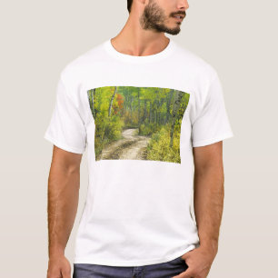 Straße mit Herbstfarben und -aspeln in Kebler T-Shirt
