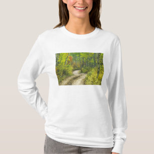 Straße mit Herbstfarben und Espen in Kebler T-Shirt