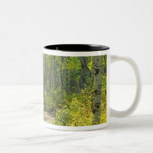 Straße mit Herbstfarben und Espen in Kebler Zweifarbige Tasse