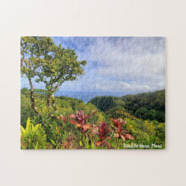 Straße nach Hana Maui Hawaii
