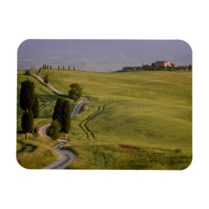 Straße nach Terrapille auf dem Toskana-Magneten Magnet