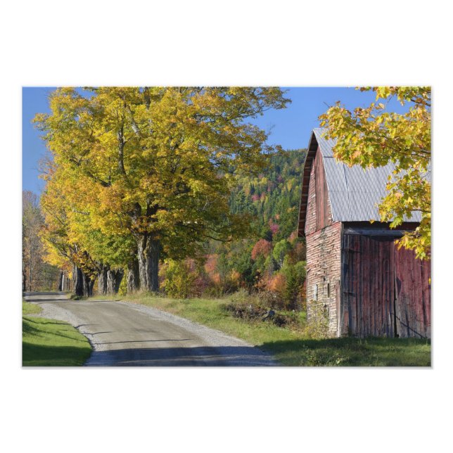 Straße neben klassischer ländlicher Scheune/Bauern Fotodruck (Vorne)