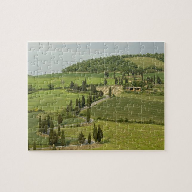 Straße von Pienza nach Montepulciano (Horizontal)