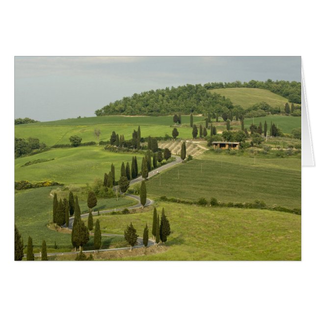 Straße von Pienza nach Montepulciano (Vorderseite (Horizontal))