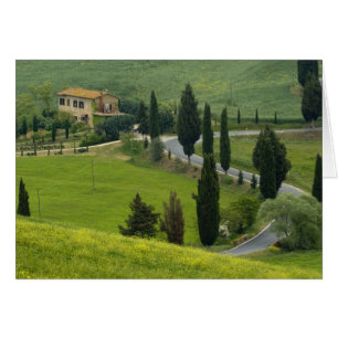 Straße von Pienza nach Montepulciano, 2
