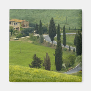 Straße von Pienza nach Montepulciano, 2 Magnet
