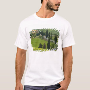 Straße von Pienza nach Montepulciano, 2 T-Shirt