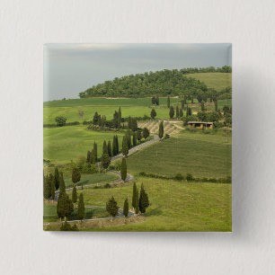 Straße von Pienza nach Montepulciano, Button