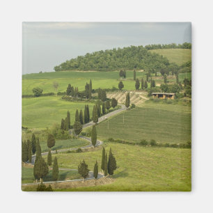 Straße von Pienza nach Montepulciano Magnet