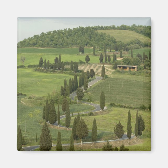 Straße von Pienza nach Montepulciano Magnet (Vorne)