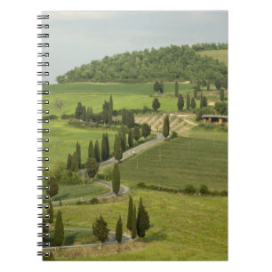 Straße von Pienza nach Montepulciano, Notizblock