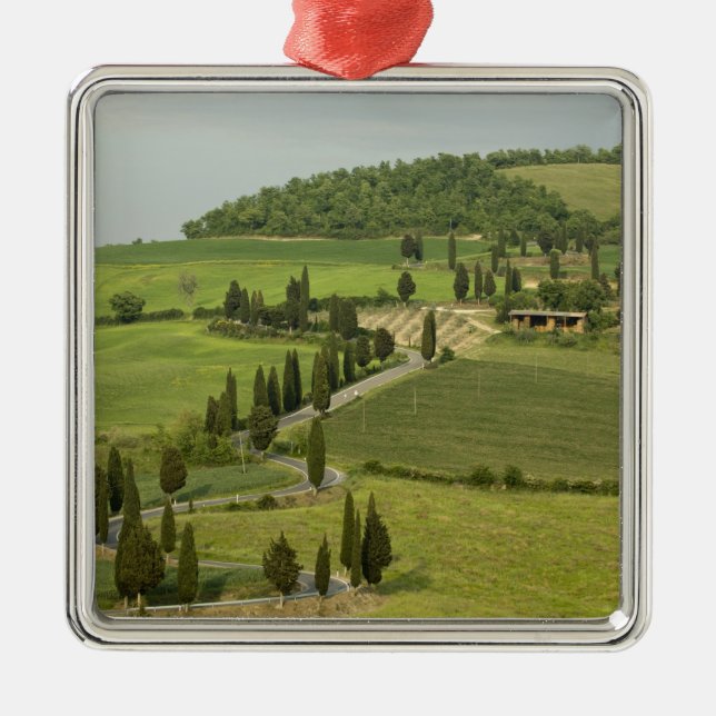 Straße von Pienza nach Montepulciano Silbernes Ornament (Vorne)