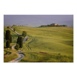 Straße zu Terrapille im Toskana-Fotodruck Fotodruck