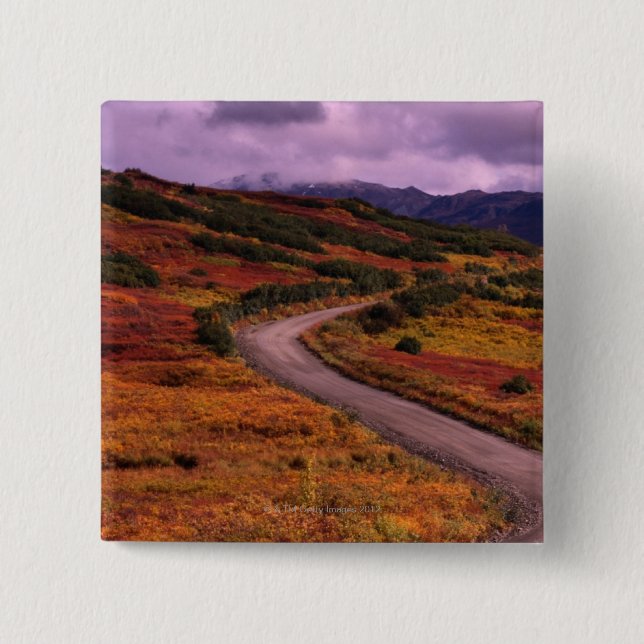 Straßen-Wicklung durch Hügel in Denali Button (Vorderseite)