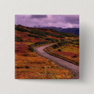 Straßen-Wicklung durch Hügel in Denali Button