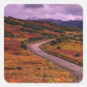 Straßen-Wicklung durch Hügel in Denali Quadratischer Aufkleber