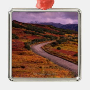 Straßen-Wicklung durch Hügel in Denali Silbernes Ornament