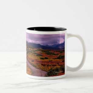 Straßen-Wicklung durch Hügel in Denali Zweifarbige Tasse