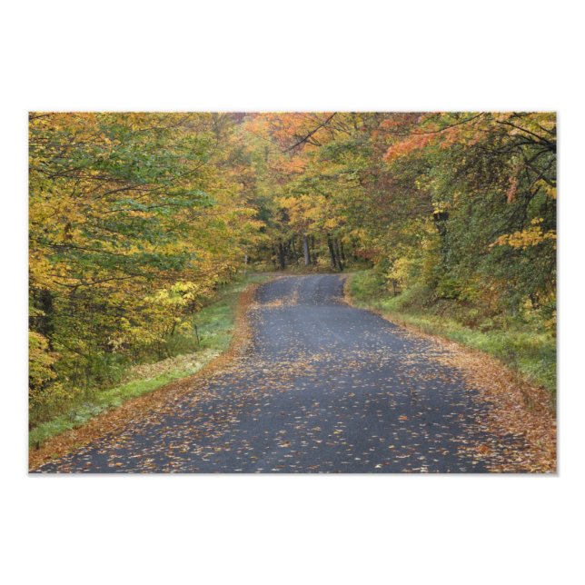 Straßenabfallfolien, Südvermont, USA Fotodruck (Vorne)