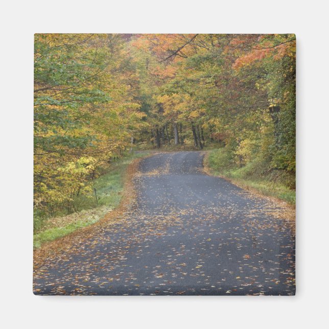 Straßenabfallfolien, Südvermont, USA Magnet (Vorne)