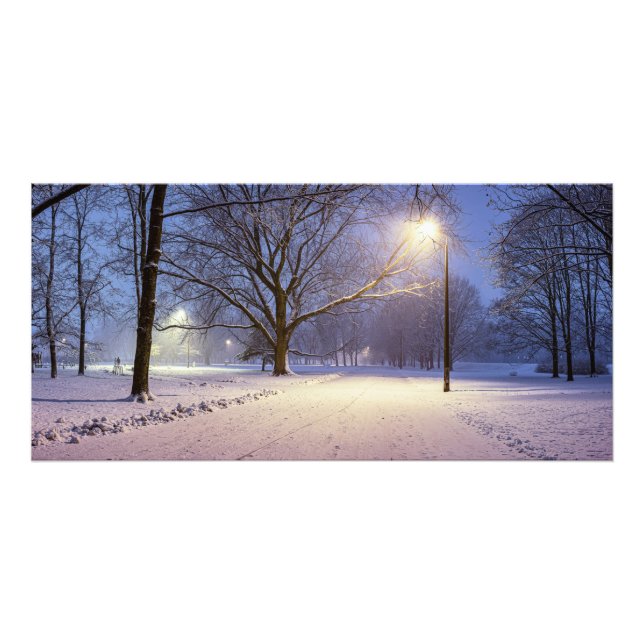 Straßenbeleuchtung und Schneebäume Fotodruck (Vorne)