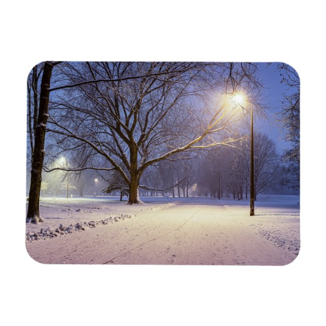Straßenbeleuchtung und Schneebäume Magnet (Horizontal)