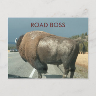 STRASSENBOSS-Postkarte Postkarte
