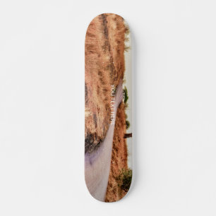 Straßenlandschaft verrückter, benutzerdefinierter skateboard